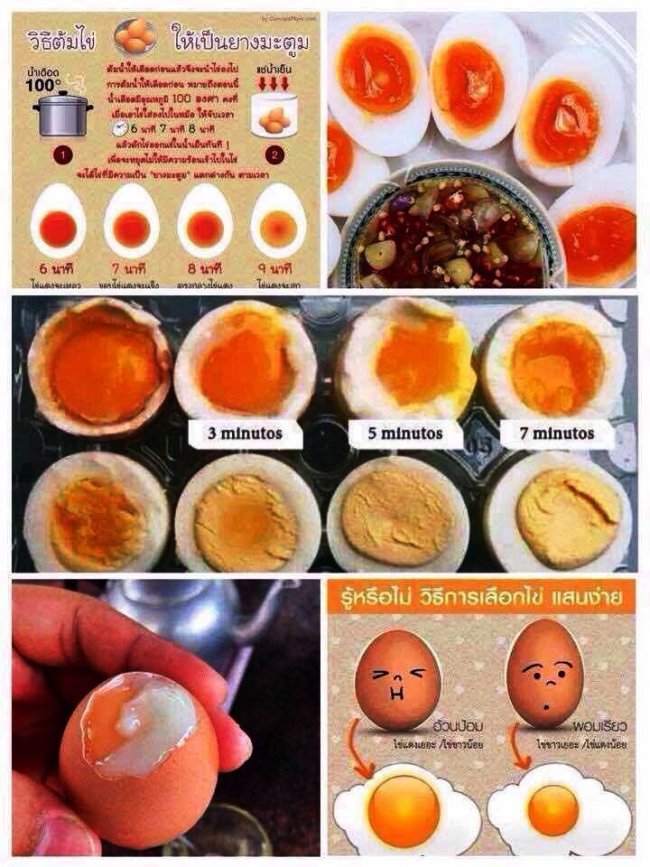 สาระน่ารู้ คำแนะนำและการเฝ้าระวังโรค 1
